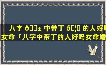 八字 🐱 中带丁 🦍 的人好吗女命「八字中带丁的人好吗女命婚姻」